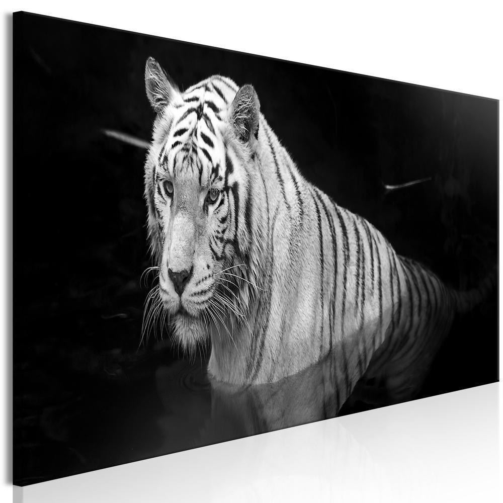 Canvas Print - Shining Tiger (1 Part) Black and White Narrow-ArtfulPrivacy-Wall Art Collection