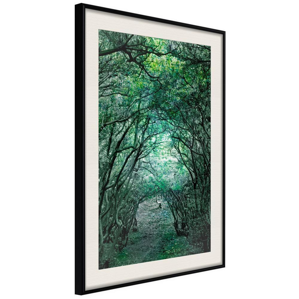 Framed Art - Tree Tunnel-artwork for wall with acrylic glass protection