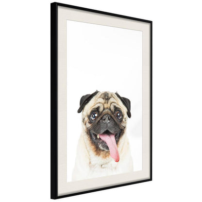 Nursery Room Wall Frame - Funny Pug-artwork for wall with acrylic glass protection