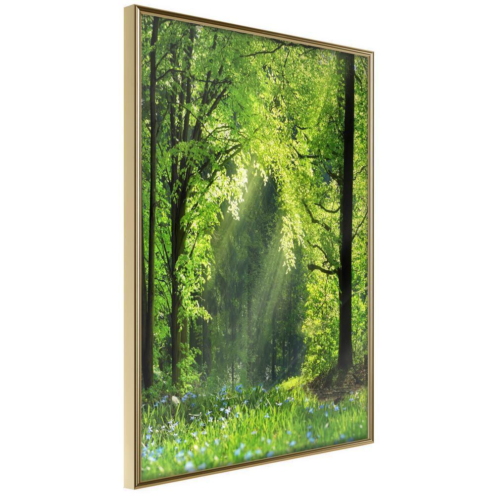 Framed Art - Forest Path-artwork for wall with acrylic glass protection