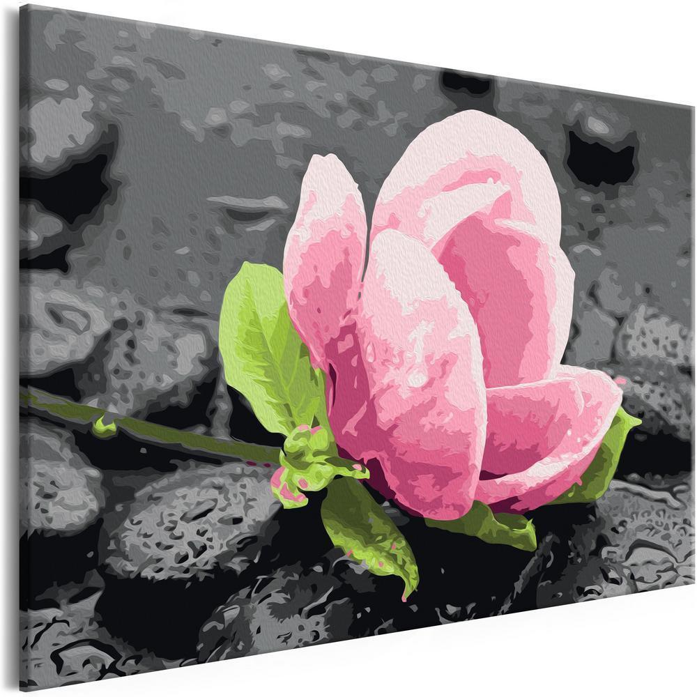 Start learning Painting - Paint By Numbers Kit - Pink Flower and Stones - new hobby