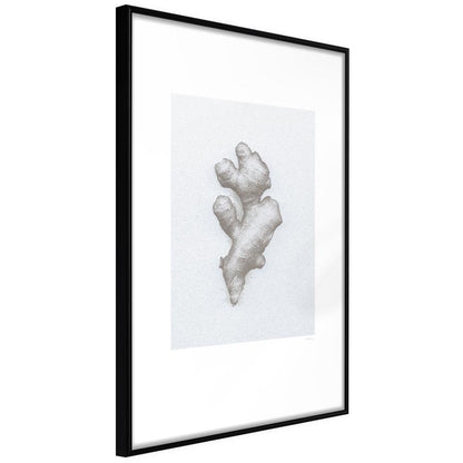 Black and White Framed Poster - Ginger Rhizome-artwork for wall with acrylic glass protection