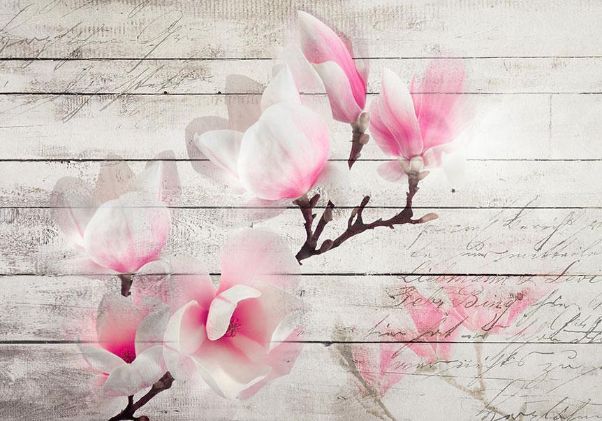 Wall Mural - Gentleness of the Magnolia-Wall Murals-ArtfulPrivacy