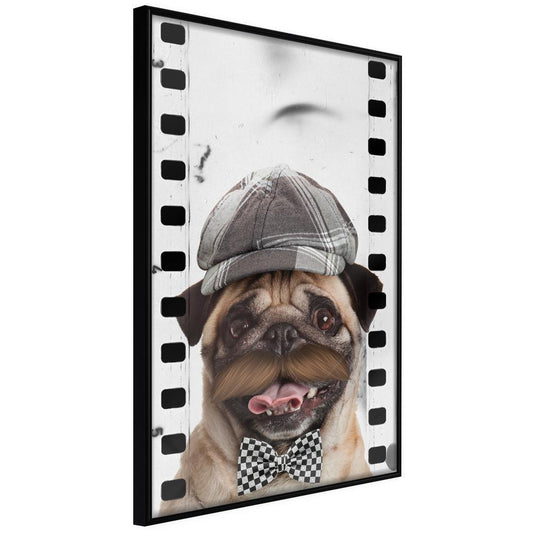 Frame Wall Art - Dressed Up Pug-artwork for wall with acrylic glass protection