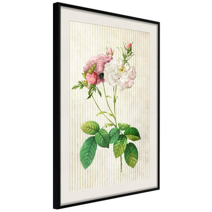 Botanical Wall Art - Romance I-artwork for wall with acrylic glass protection