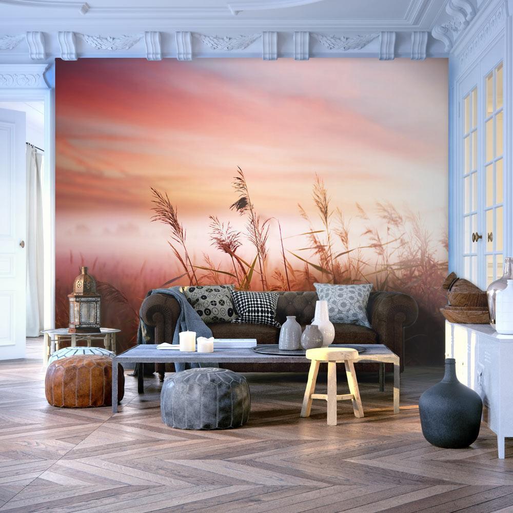 Wall Mural - Morning meadow-Wall Murals-ArtfulPrivacy