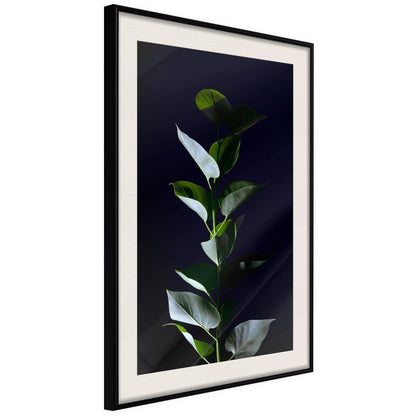 Botanical Wall Art - Floral Elegance-artwork for wall with acrylic glass protection
