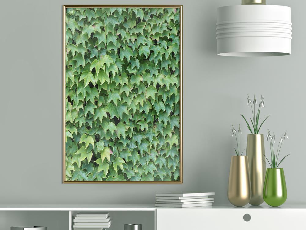 Botanical Wall Art - Hidden-artwork for wall with acrylic glass protection