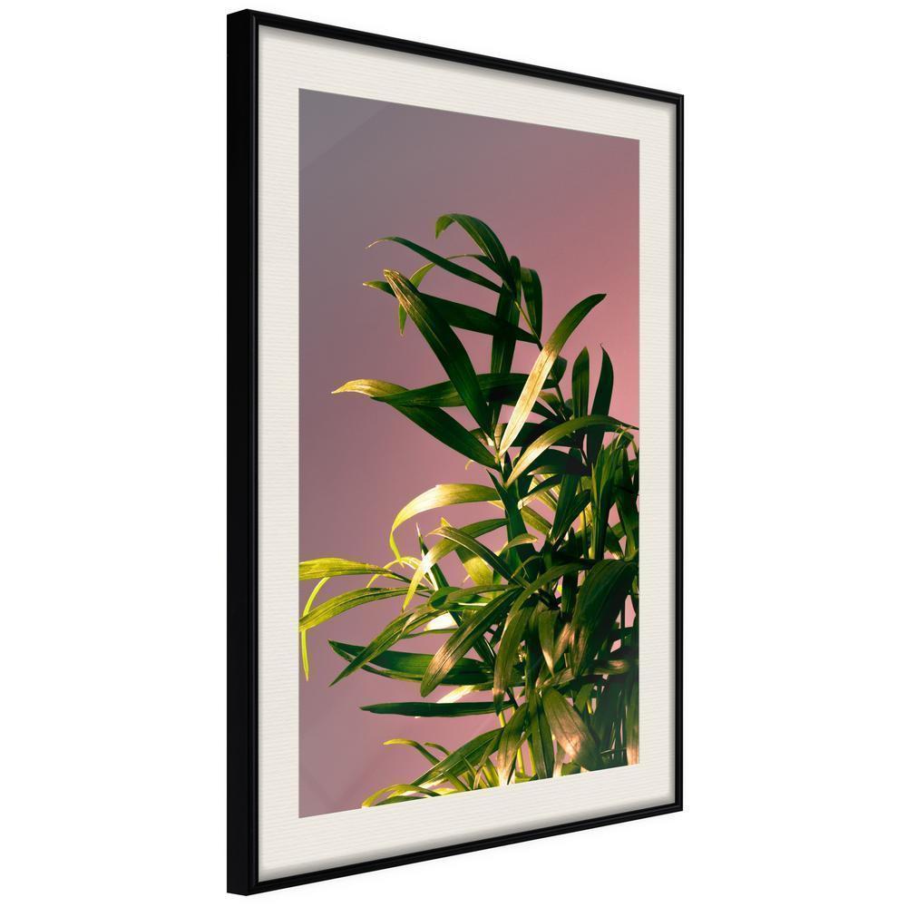 Botanical Wall Art - Against the Sunset-artwork for wall with acrylic glass protection