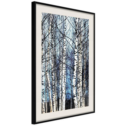 Winter Design Framed Artwork - Winter Birch Trees-artwork for wall with acrylic glass protection