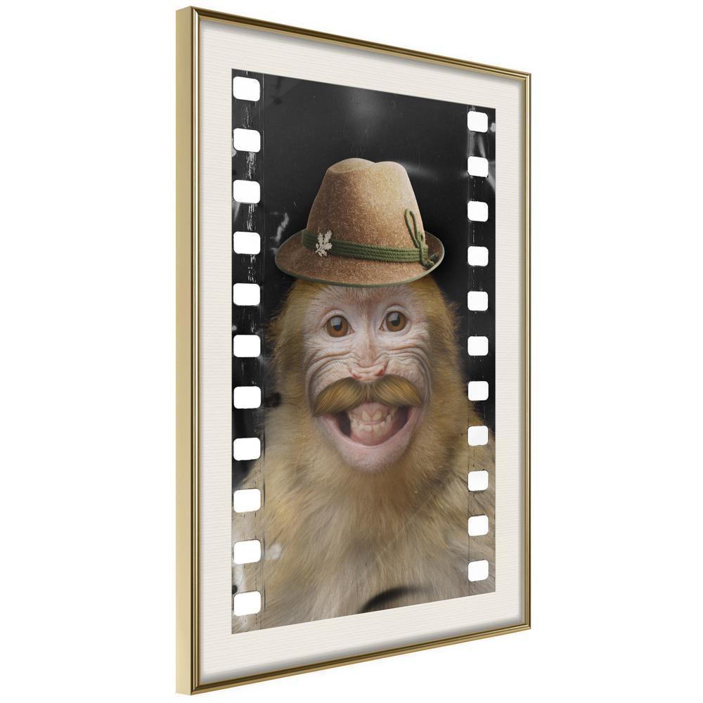 Frame Wall Art - Dressed Up Monkey-artwork for wall with acrylic glass protection