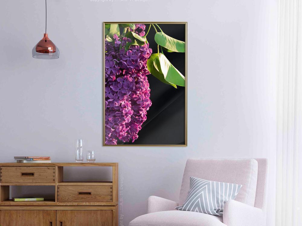 Botanical Wall Art - Violet May-artwork for wall with acrylic glass protection