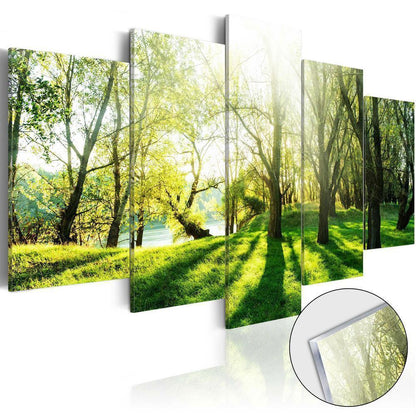 Durable Plexiglas Decorative Print - Acrylic Print - Green Glade - ArtfulPrivacy