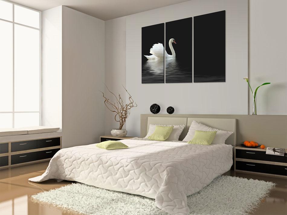 Canvas Print - A lonely white swan-ArtfulPrivacy-Wall Art Collection