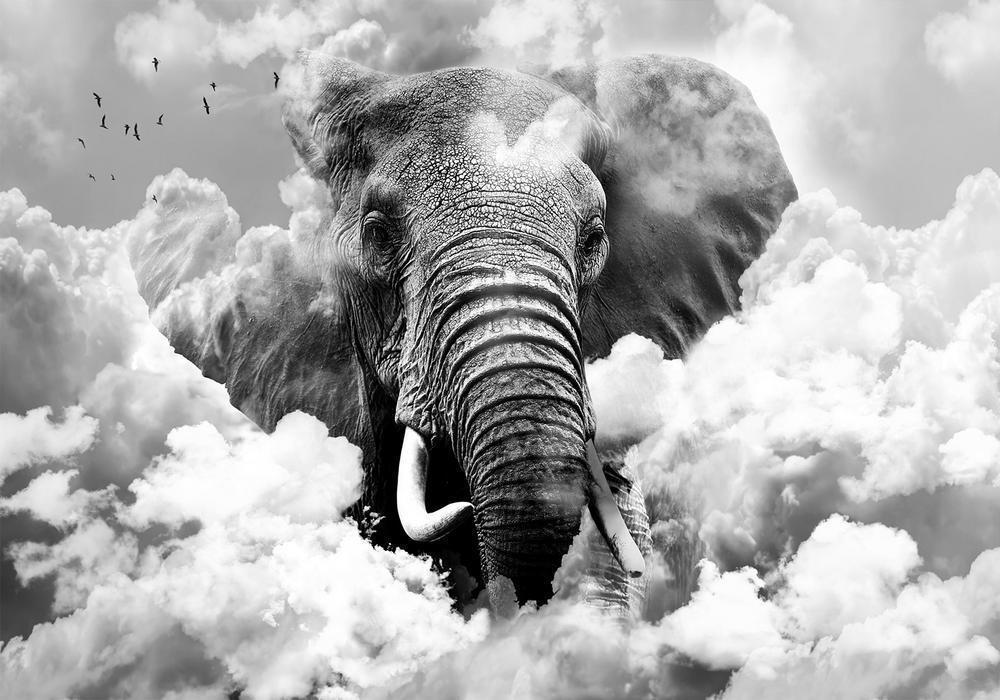 Wall Mural - Elephant in the Clouds (Black and White)-Wall Murals-ArtfulPrivacy
