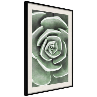 Botanical Wall Art - Robust Plant-artwork for wall with acrylic glass protection