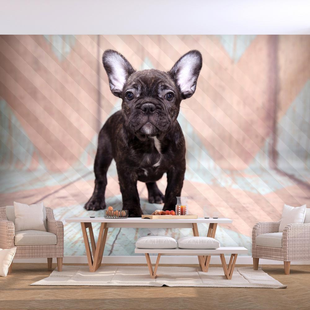 Wall Mural - French Bulldog-Wall Murals-ArtfulPrivacy