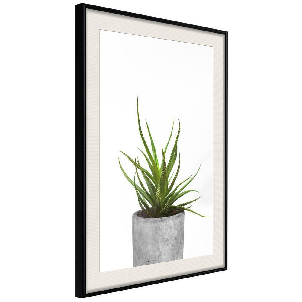 Botanical Wall Art - Piece of Nature I-artwork for wall with acrylic glass protection