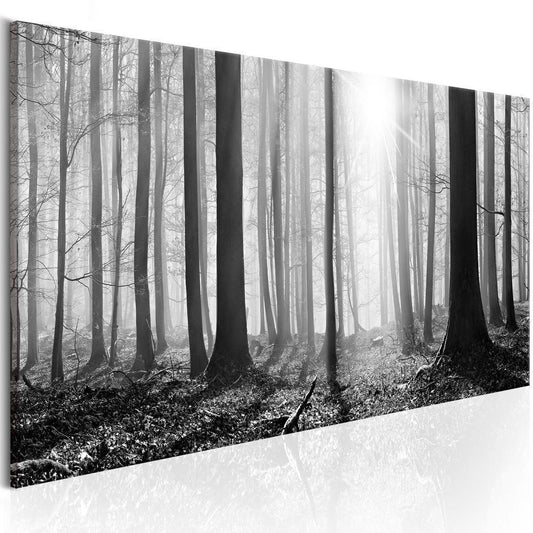 Canvas Print - Black and White Forest-ArtfulPrivacy-Wall Art Collection