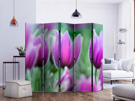 Decorative partition-Room Divider - Purple spring tulips II-Folding Screen Wall Panel by ArtfulPrivacy