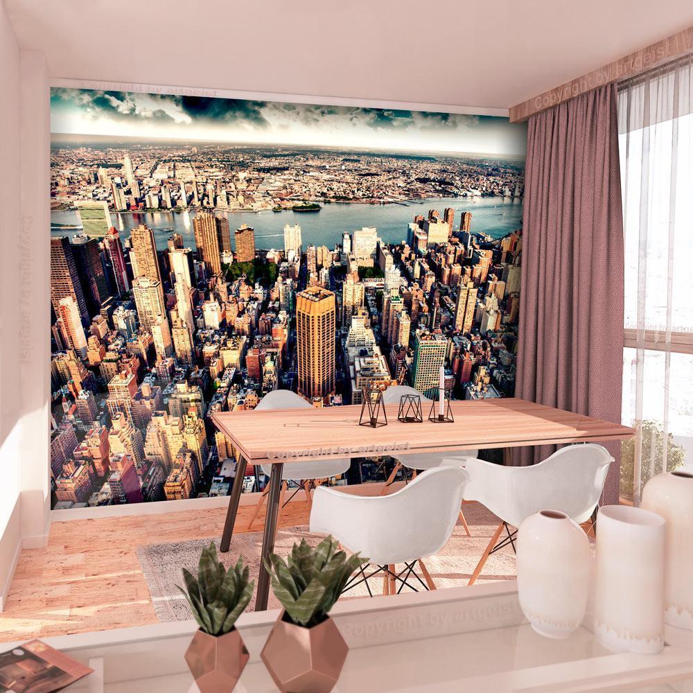 Wall Mural - Bird's Eye View of New York-Wall Murals-ArtfulPrivacy