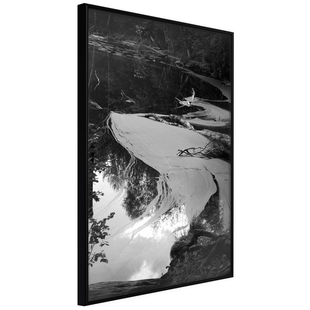 Black and White Framed Poster - Duckweed-artwork for wall with acrylic glass protection