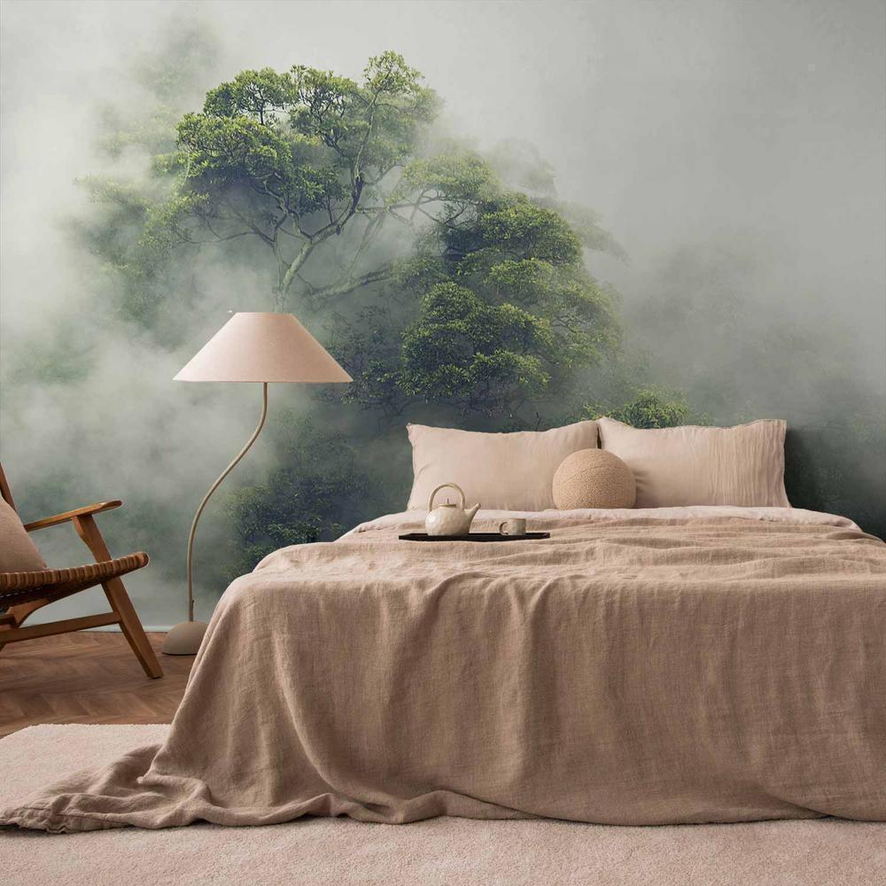 Wall Mural - Foggy Amazon