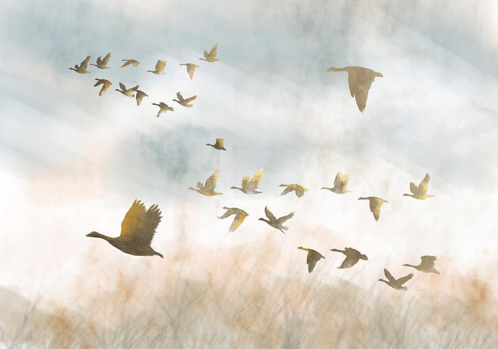 Wall Mural - Golden Geese-Wall Murals-ArtfulPrivacy