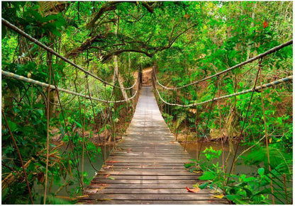 Wall Mural - Bridge amid greenery-Wall Murals-ArtfulPrivacy