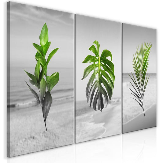 Canvas Print - Plants (Collection)-ArtfulPrivacy-Wall Art Collection