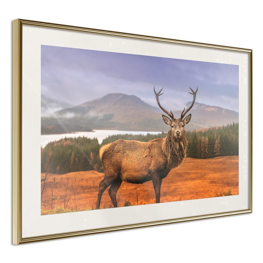 Frame Wall Art - Majestic Deer-artwork for wall with acrylic glass protection