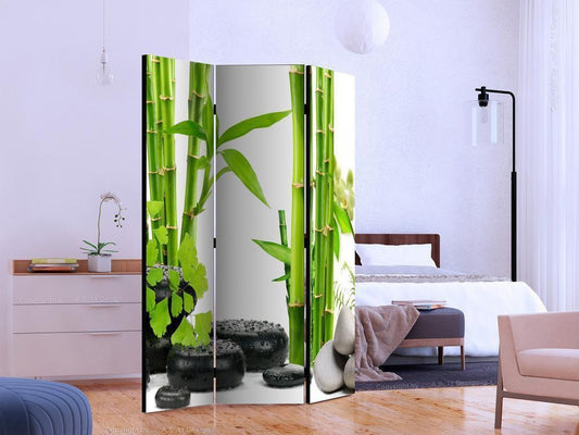 Decorative partition-Room Divider - Bamboos and Stones-Folding Screen Wall Panel by ArtfulPrivacy