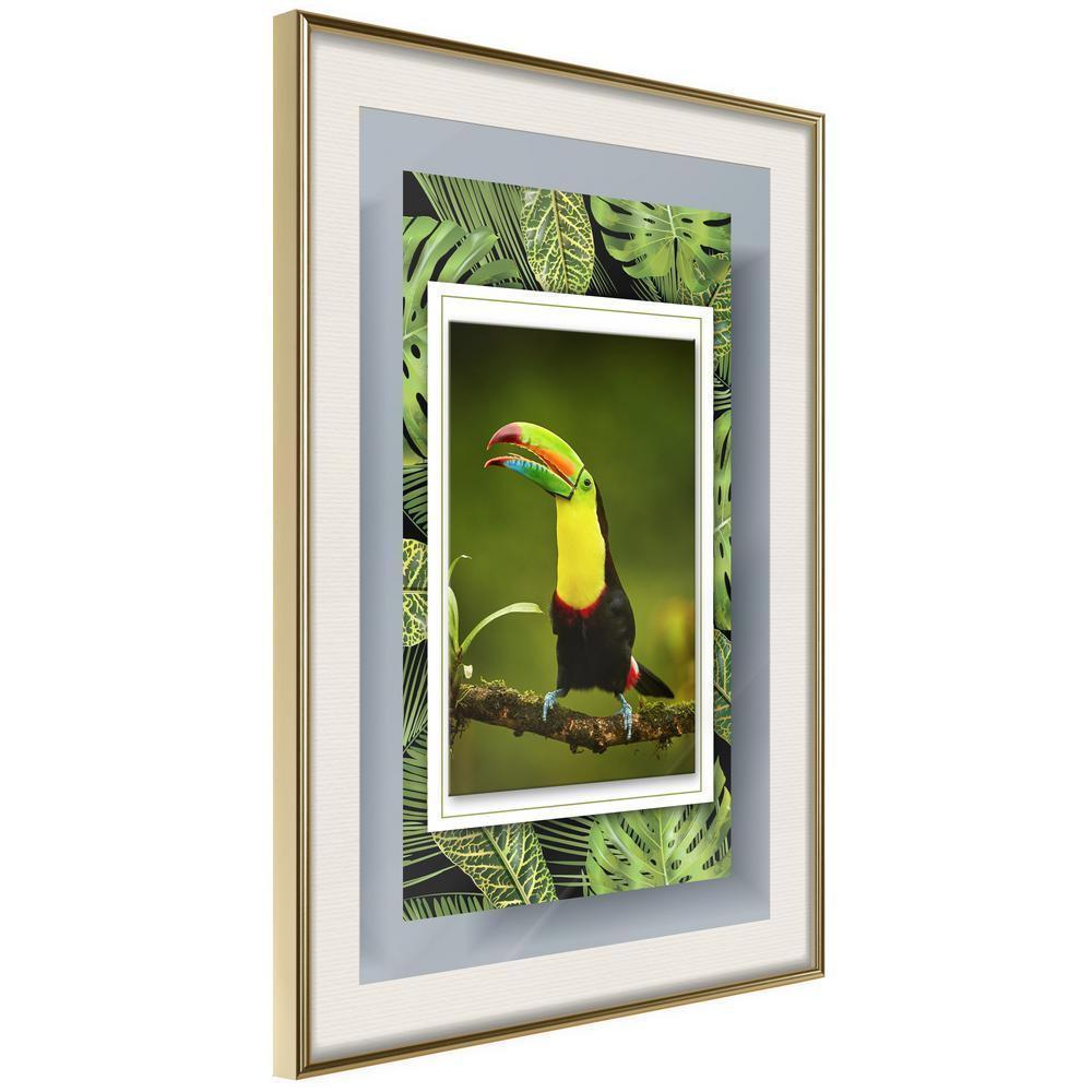 Frame Wall Art - Toucan in the Frame-artwork for wall with acrylic glass protection
