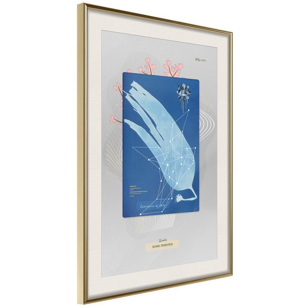 Abstract Poster Frame - Alga Cyanotype-artwork for wall with acrylic glass protection