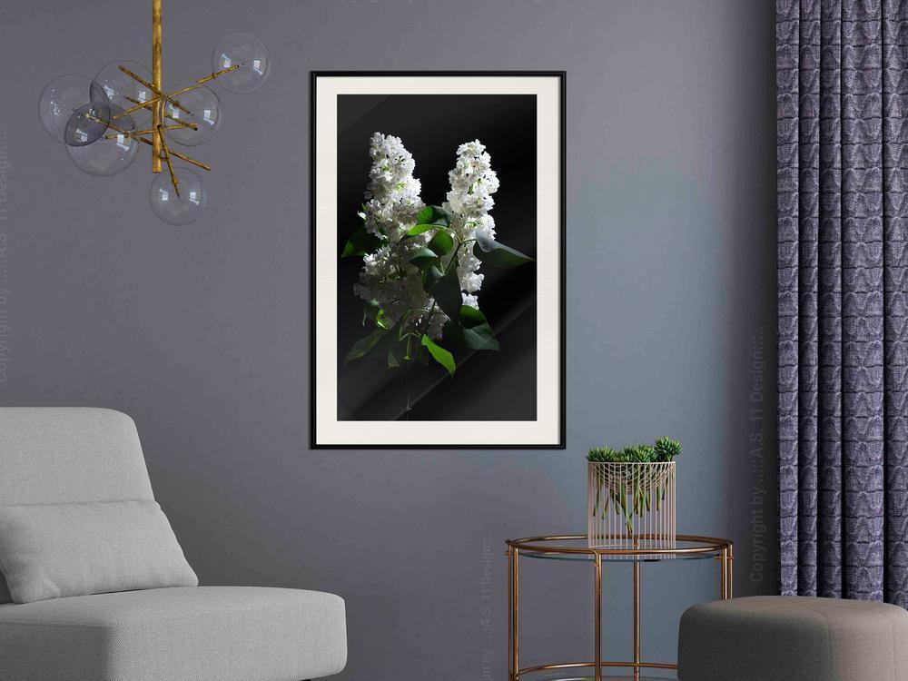 Botanical Wall Art - White Lilac-artwork for wall with acrylic glass protection