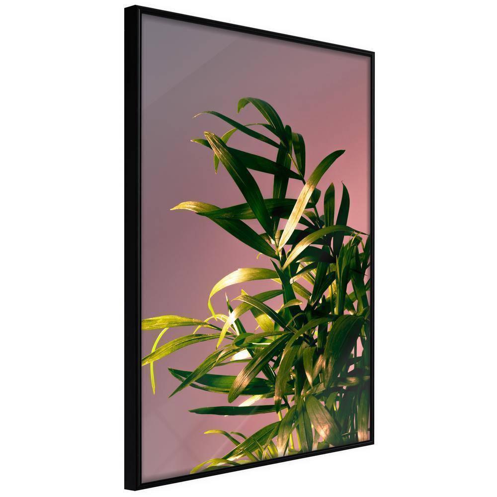 Botanical Wall Art - Against the Sunset-artwork for wall with acrylic glass protection