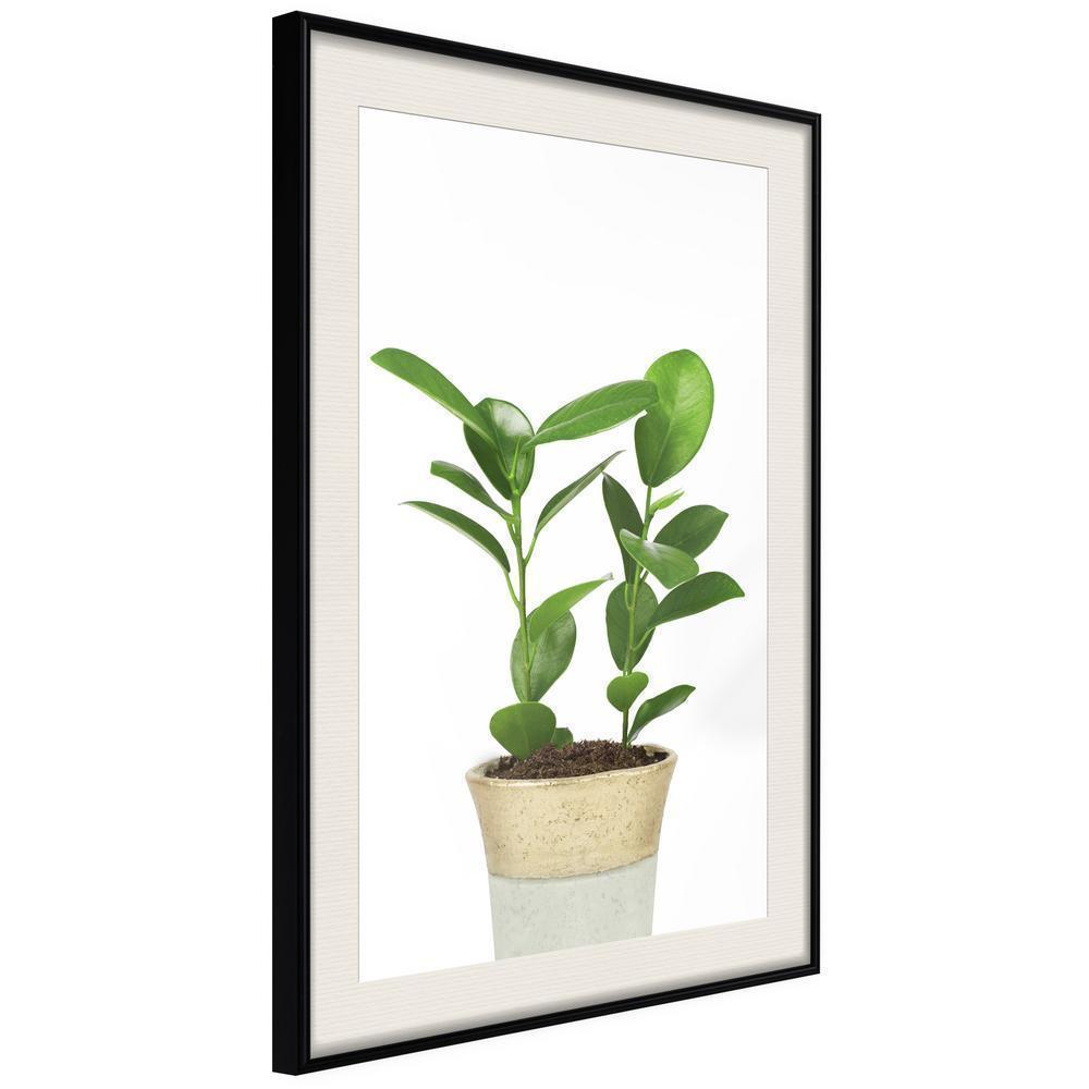 Botanical Wall Art - Piece of Nature II-artwork for wall with acrylic glass protection