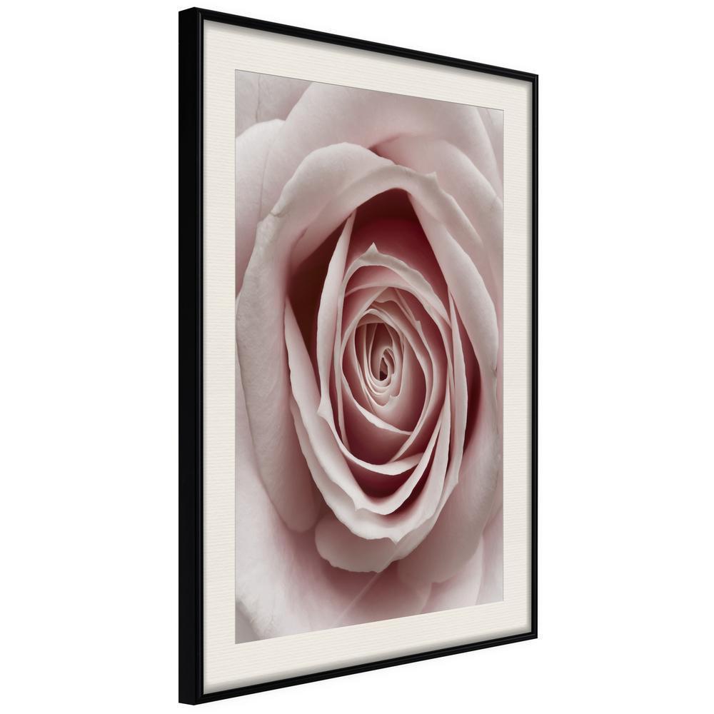 Botanical Wall Art - Rosebud-artwork for wall with acrylic glass protection