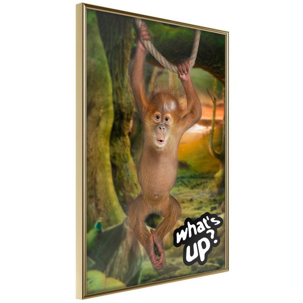 Frame Wall Art - Life in the Jungle-artwork for wall with acrylic glass protection