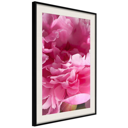 Botanical Wall Art - Magenta Madness-artwork for wall with acrylic glass protection