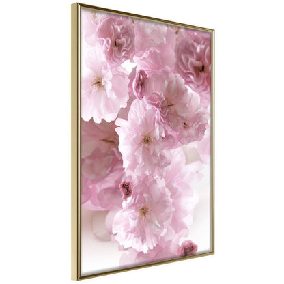 Botanical Wall Art - Path Paved with Flowers-artwork for wall with acrylic glass protection