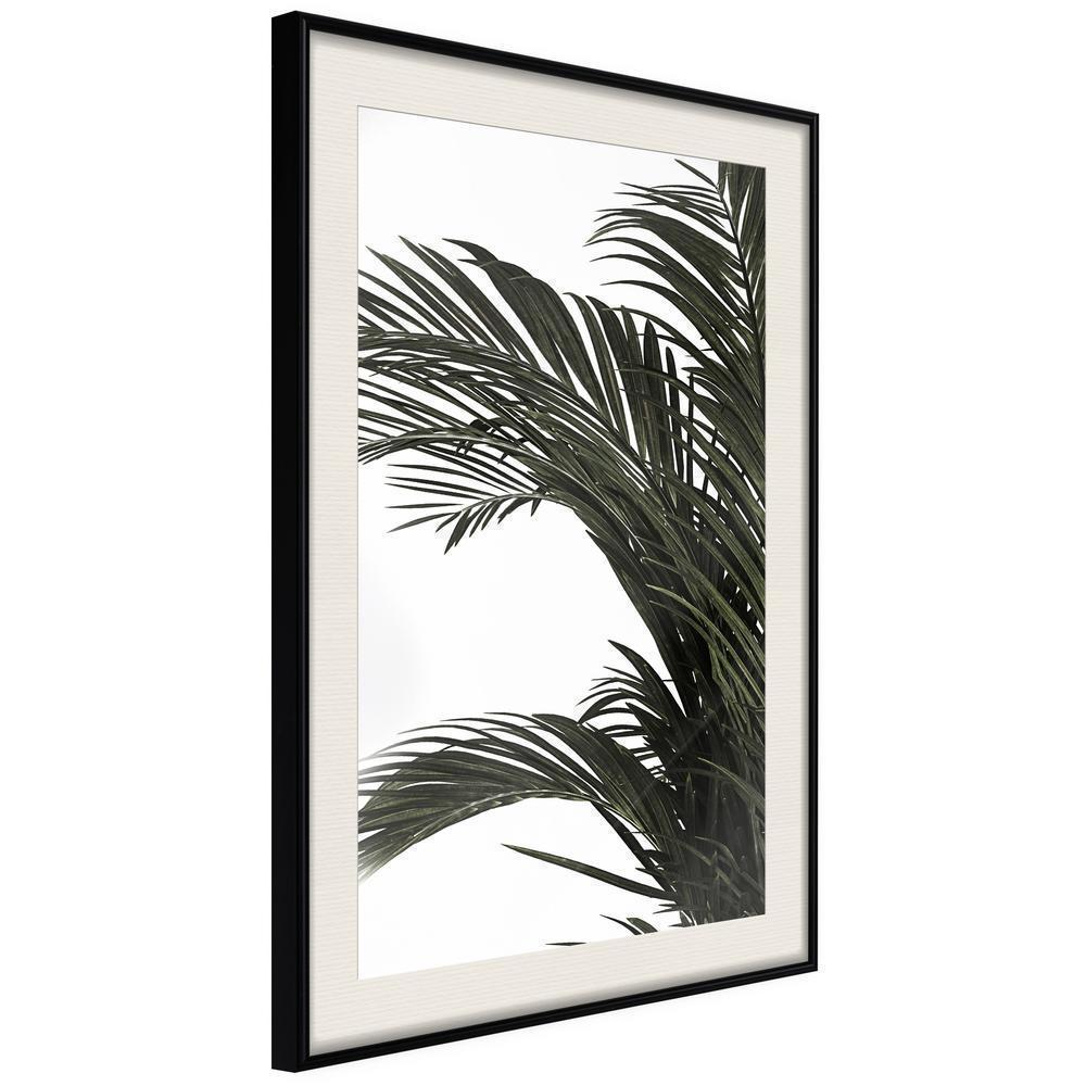 Botanical Wall Art - Jungle Scent-artwork for wall with acrylic glass protection