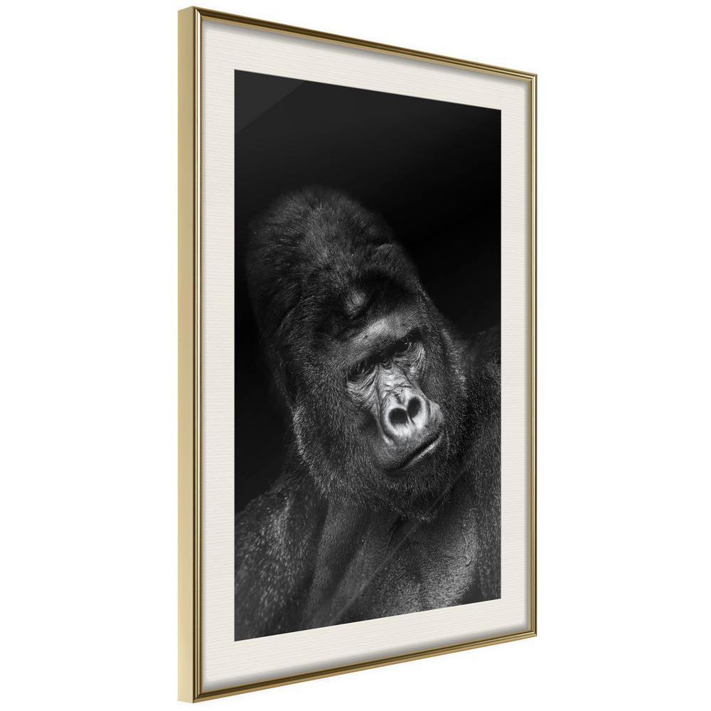 Frame Wall Art - Intelligent Gaze-artwork for wall with acrylic glass protection