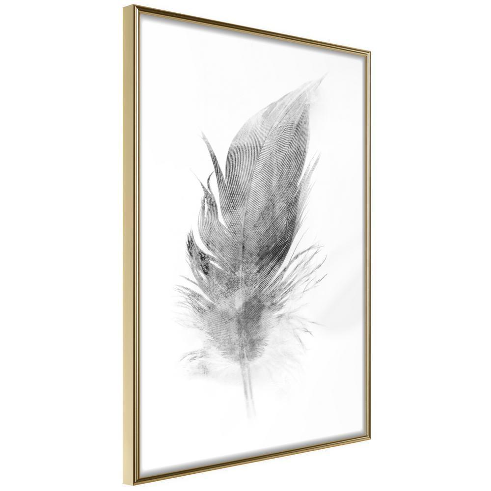 Black and White Framed Poster - Lost Feather (Grey)-artwork for wall with acrylic glass protection