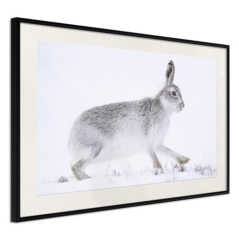 Frame Wall Art - Escape in the Snow-artwork for wall with acrylic glass protection