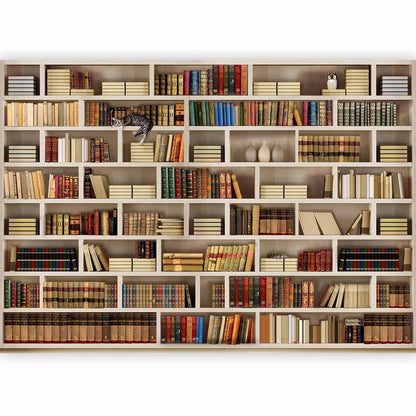 Papier peint - Bibliothèque à domicile