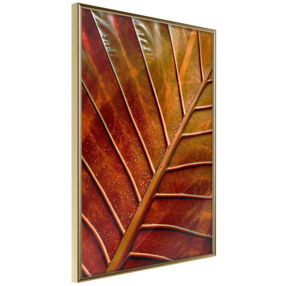 Autumn Framed Poster - Bronze Leaf-artwork for wall with acrylic glass protection