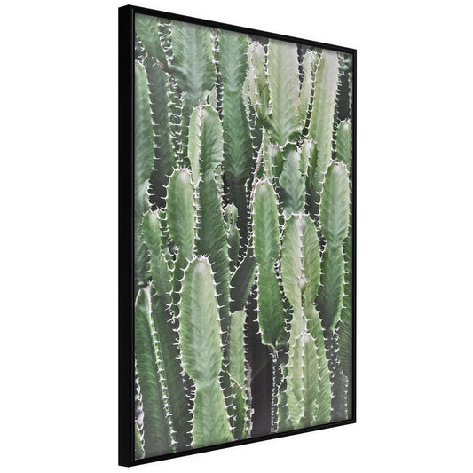 Botanical Wall Art - Cactus Plantation-artwork for wall with acrylic glass protection