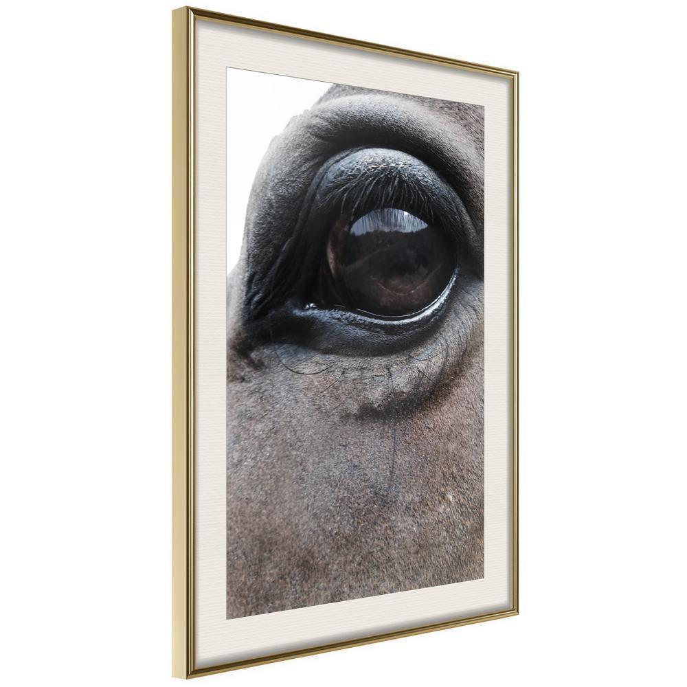 Frame Wall Art - Gentle Eyes-artwork for wall with acrylic glass protection