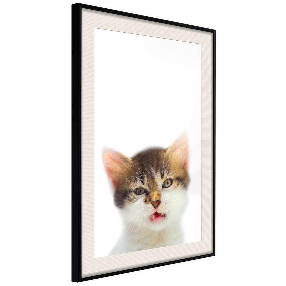 Nursery Room Wall Frame - Funny Kitten-artwork for wall with acrylic glass protection